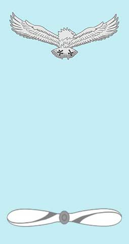 Leading Air Craftsman